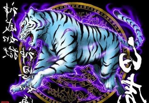 白虎 是什么意思